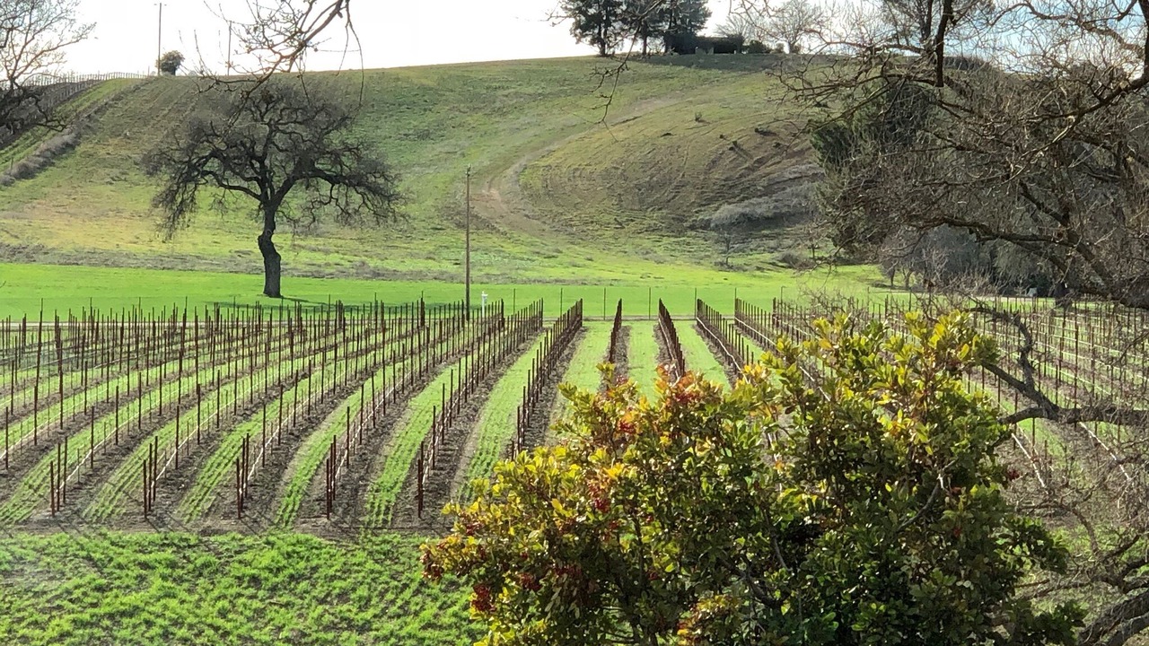 Photo of Bedroom in Paso Robles
