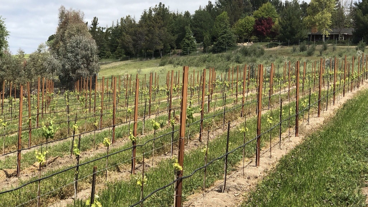 Photo of Outdoor in Paso Robles