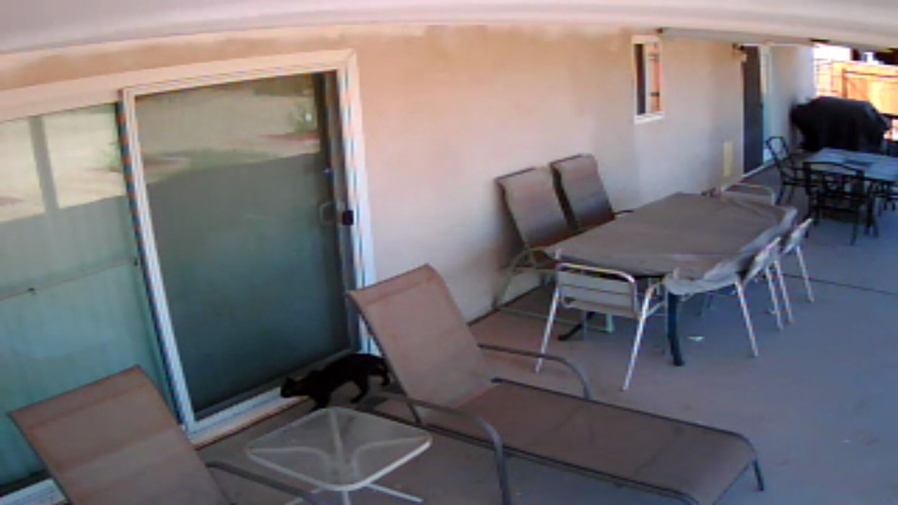 Photo of Outdoor in Topock