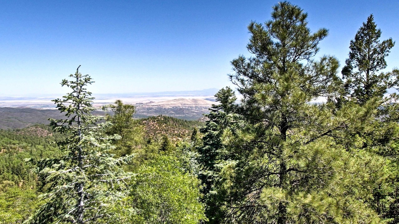 Photo of Outdoor in Prescott