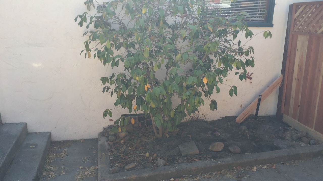 Photo of Others in Atascadero