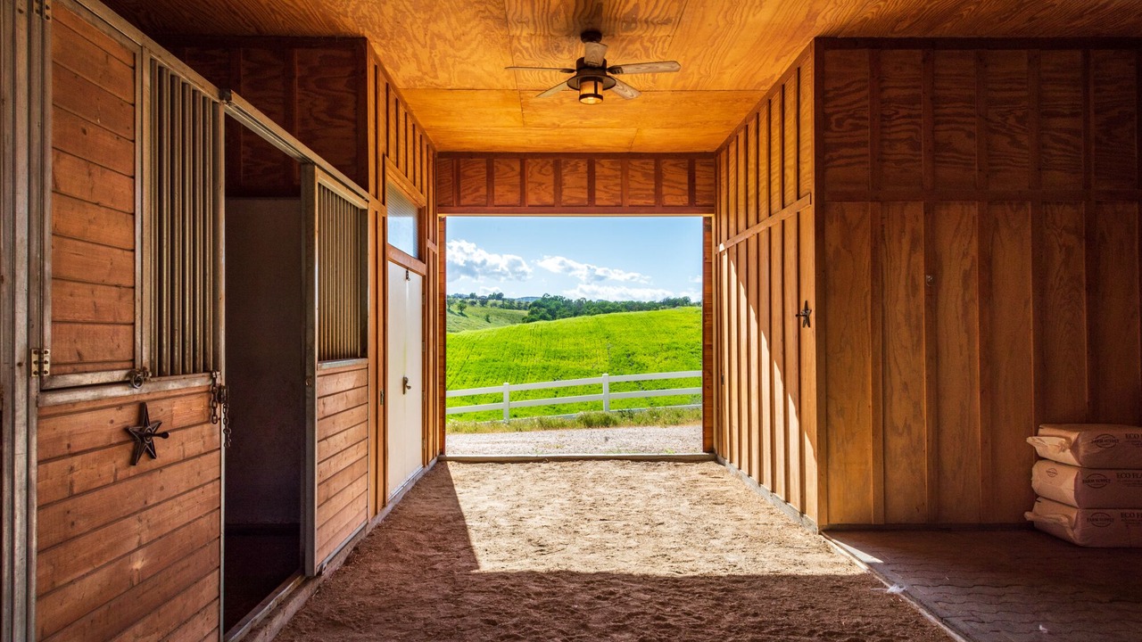 Photo of Others in Paso Robles