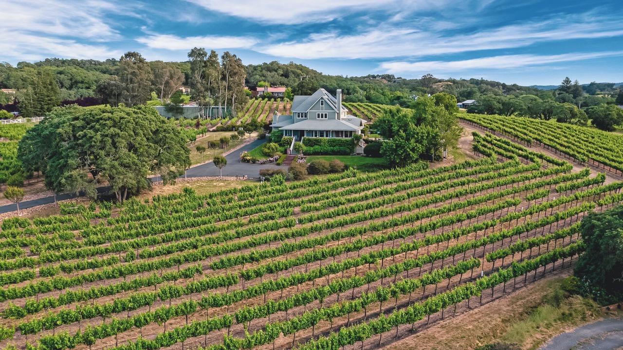 Photo of Outdoor in Healdsburg