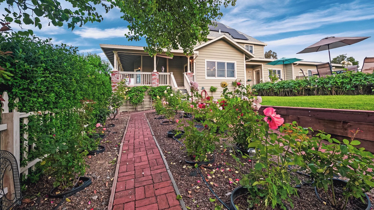 Photo of Outdoor in Healdsburg