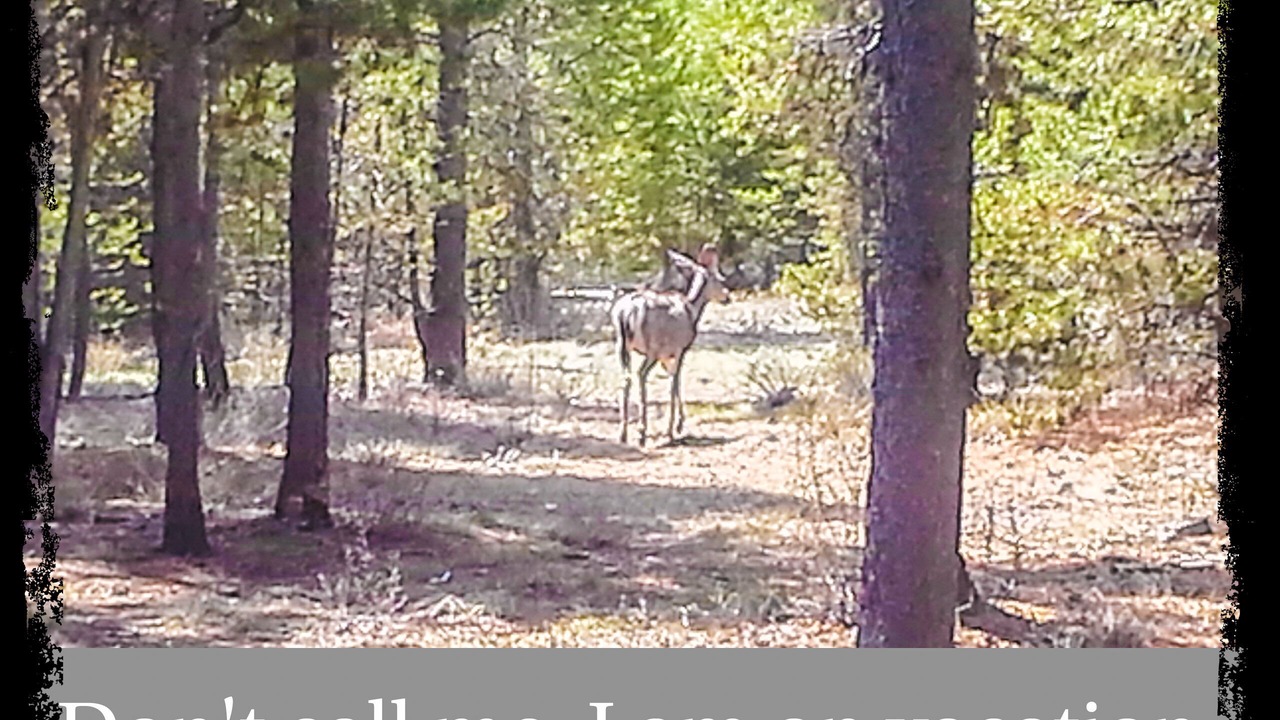 Photo of Others in La Pine