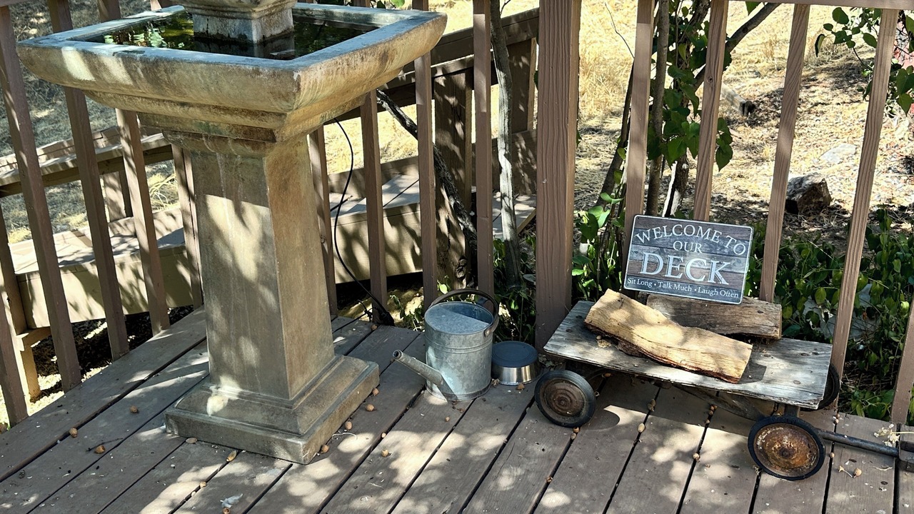 Photo of Outdoor in Julian