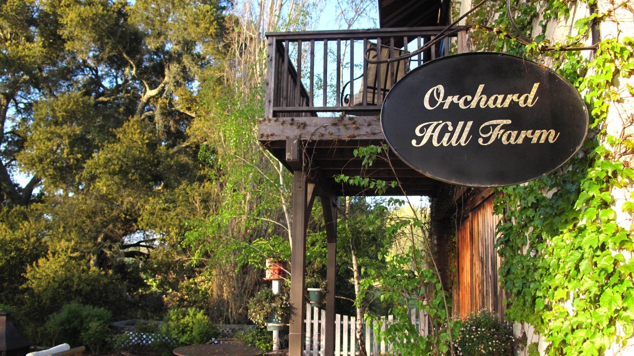 Photo of Others in Paso Robles