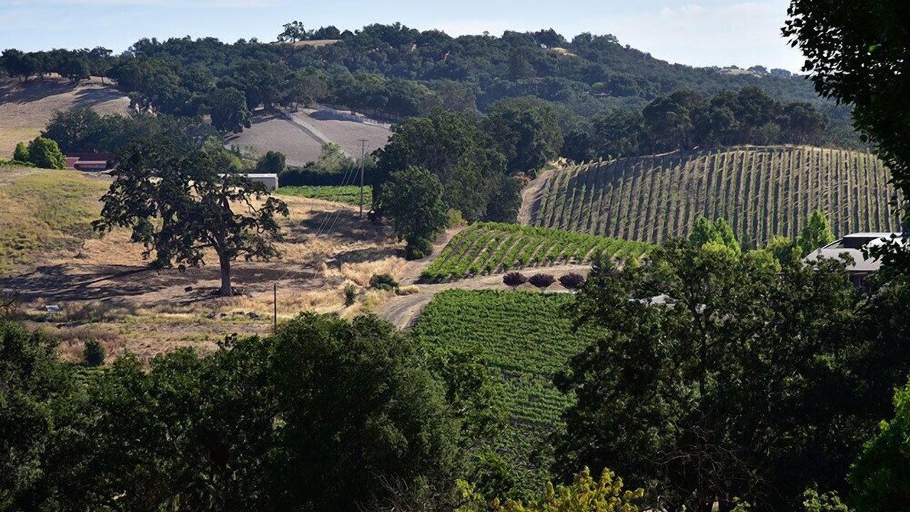 Photo of Others in Paso Robles