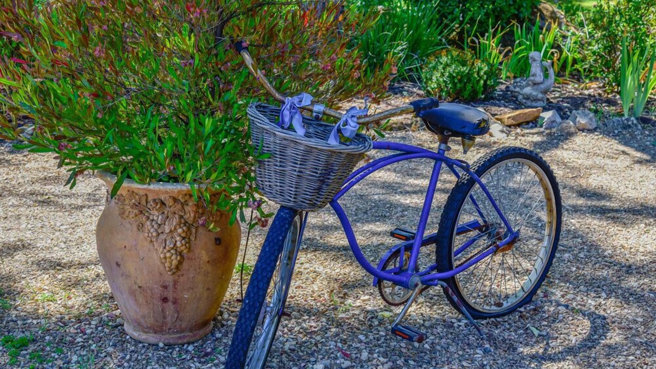 Photo of Others in Paso Robles