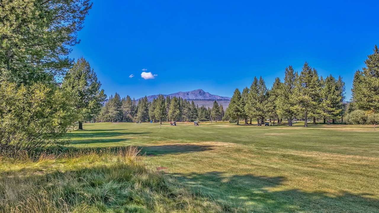 Photo of Others in South Lake Tahoe