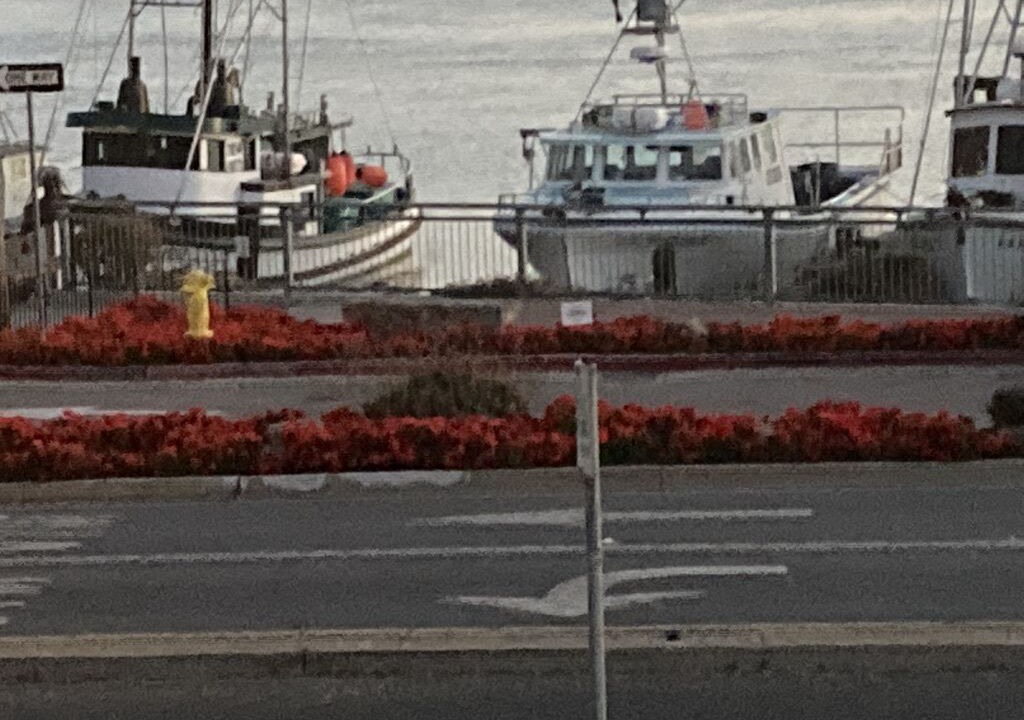 Photo of Others in Morro Bay
