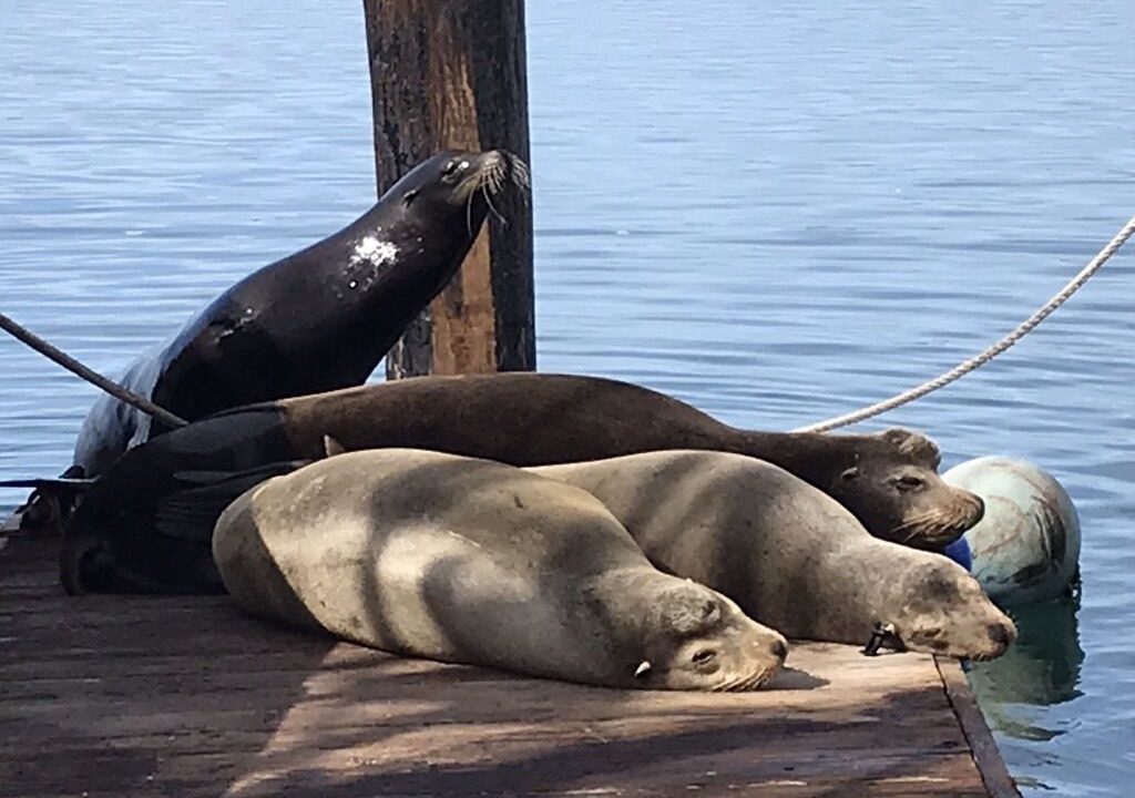 Photo of Outdoor in Morro Bay