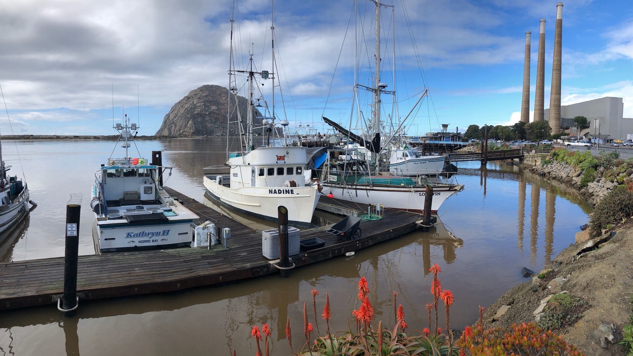 Photo of Others in Morro Bay