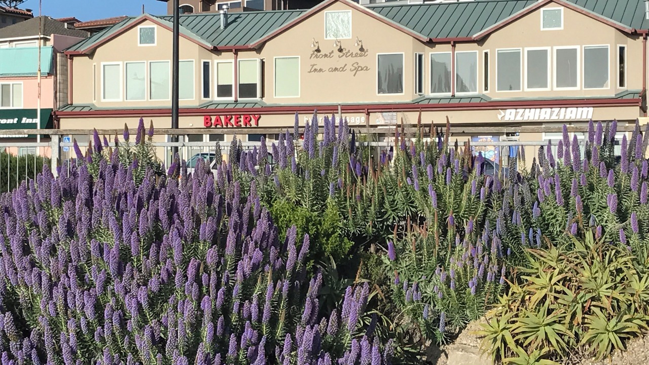 Photo of Outdoor in Morro Bay