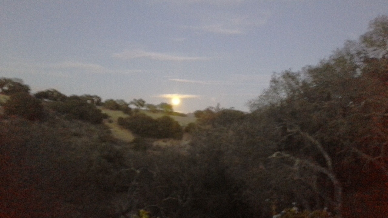 Photo of Others in Arroyo Grande