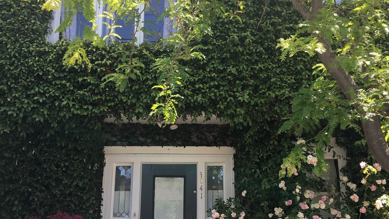 Photo of Outdoor in Elmwood