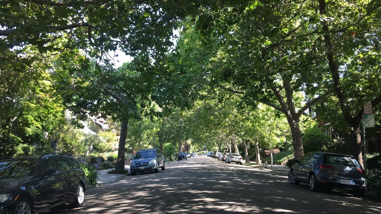 Photo of Others in Elmwood