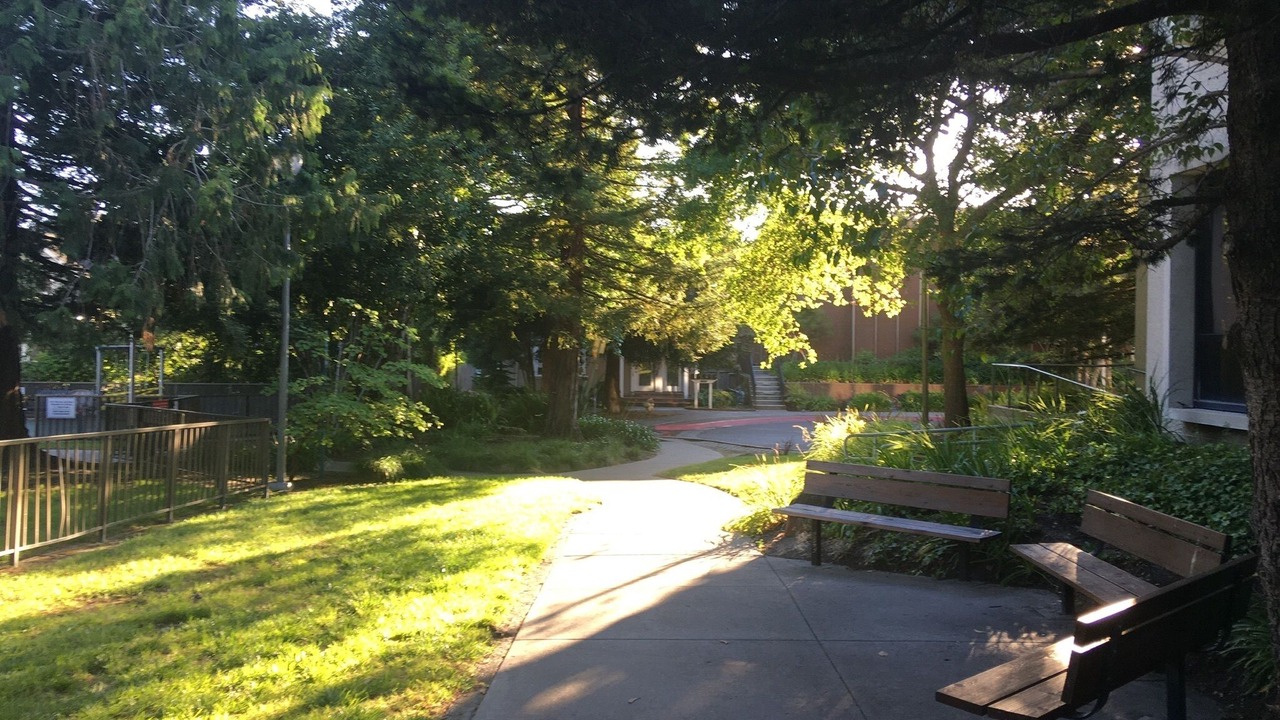 Photo of Others in Elmwood