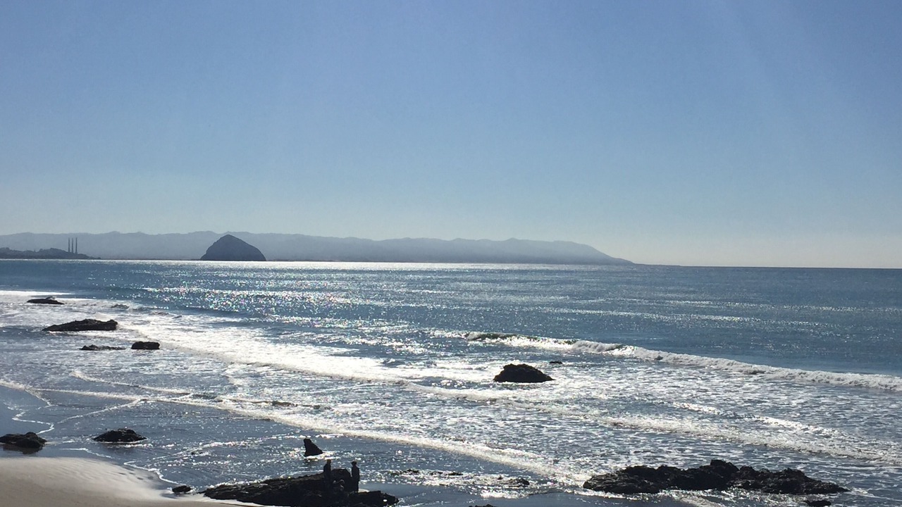 Photo of Others in Cayucos