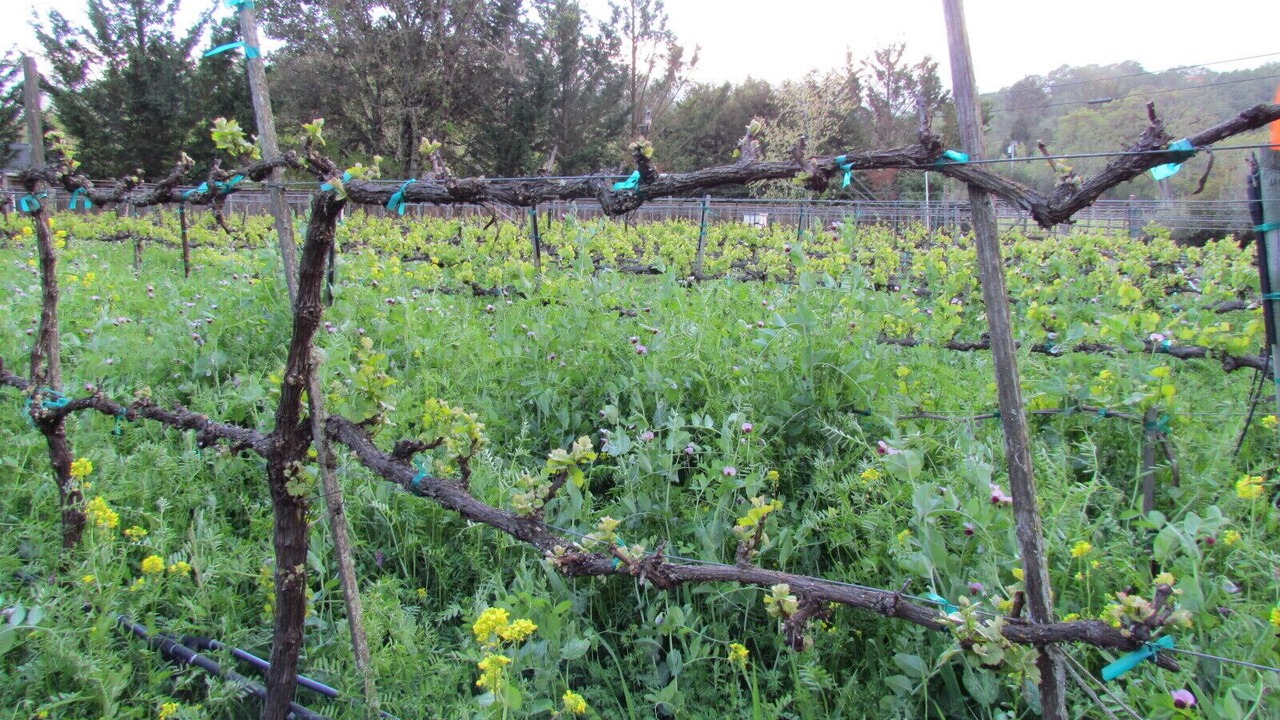 Photo of Others in Glen Ellen