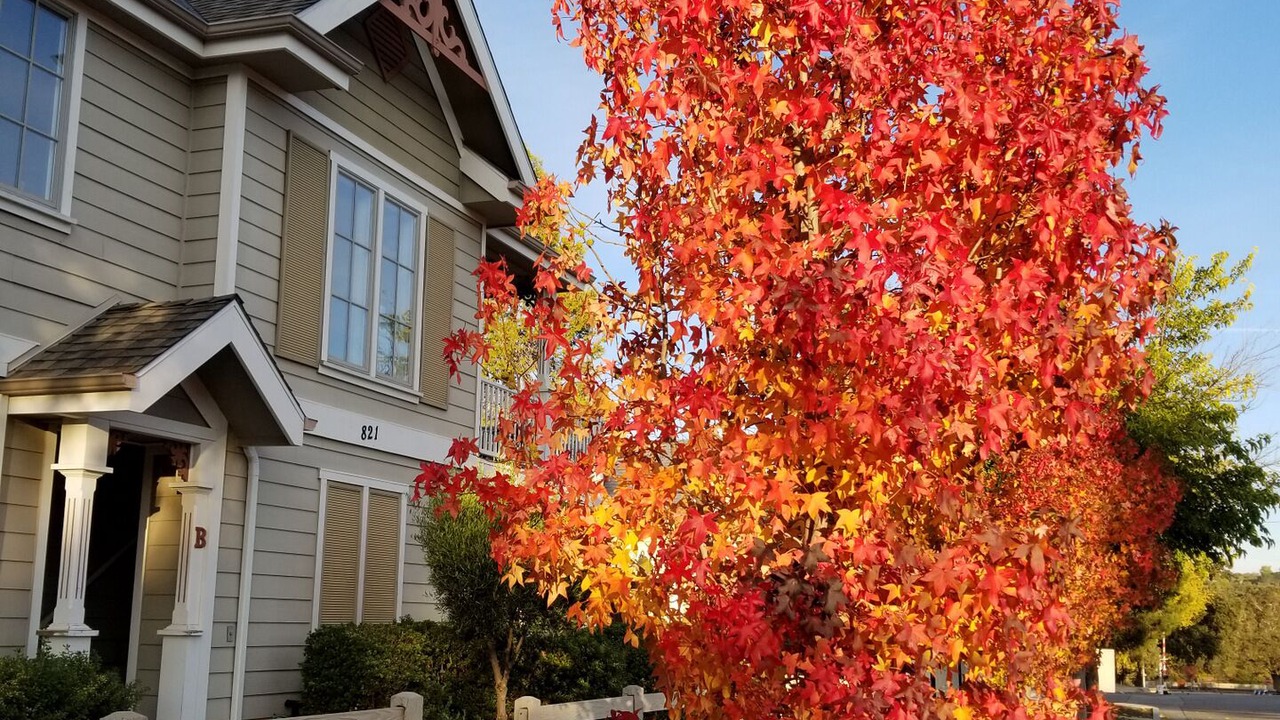 Photo of Outdoor in Paso Robles
