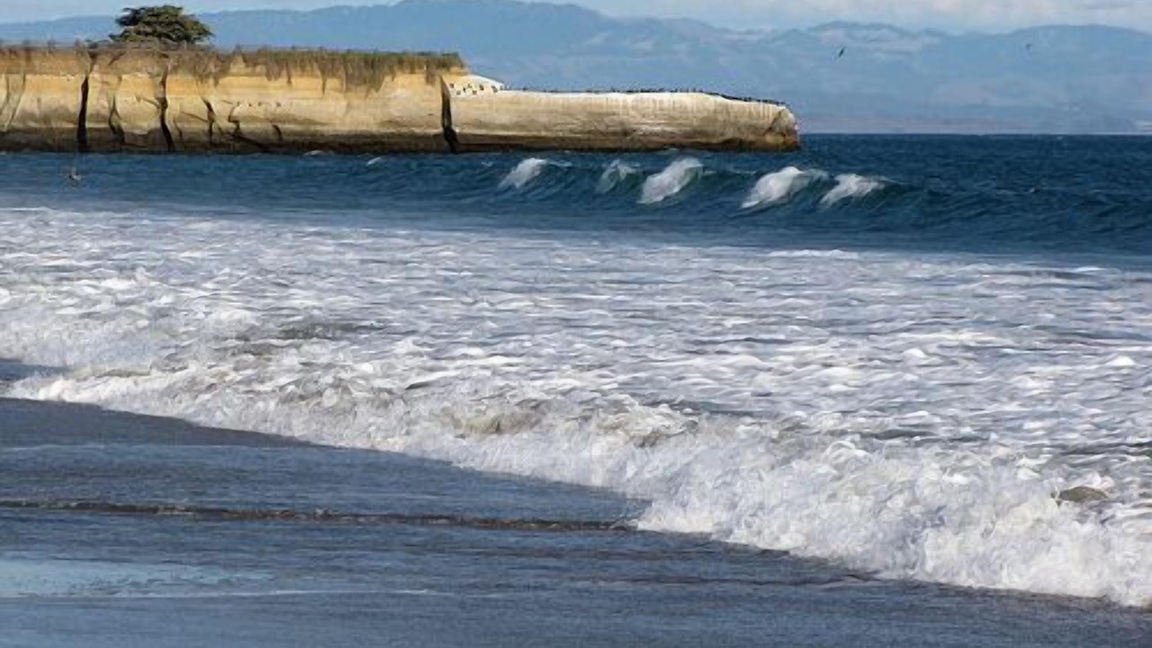 Photo of Others in Eastside Santa Cruz