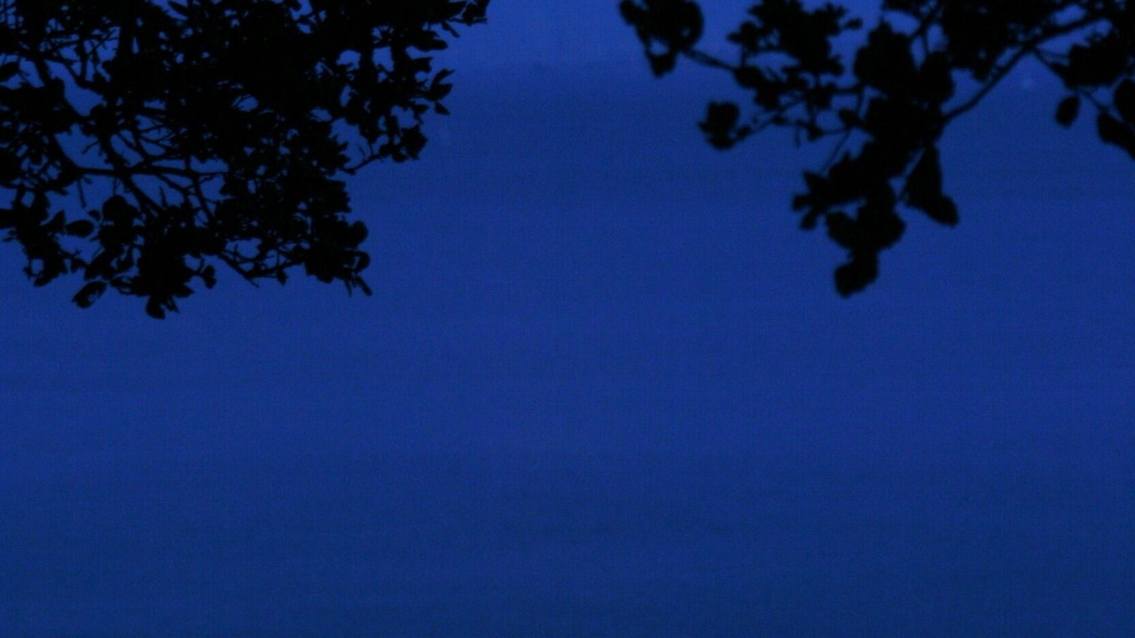 Photo of Others in Sausalito