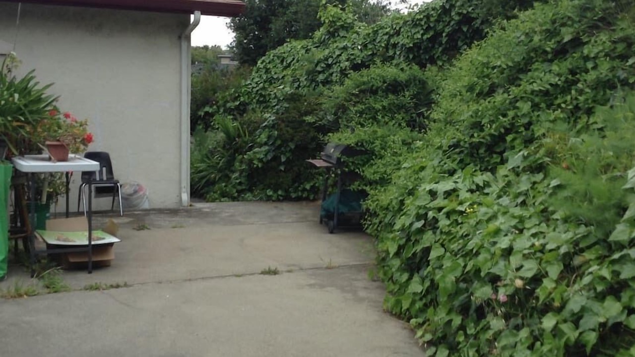 Photo of Outdoor in El Cerrito