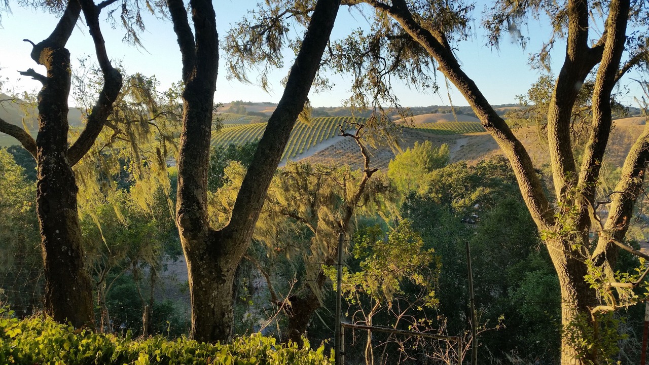 Photo of Others in Paso Robles