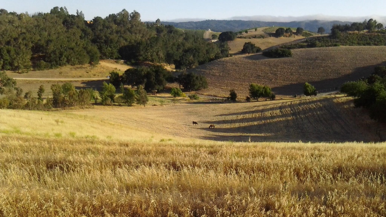 Photo of Others in Paso Robles