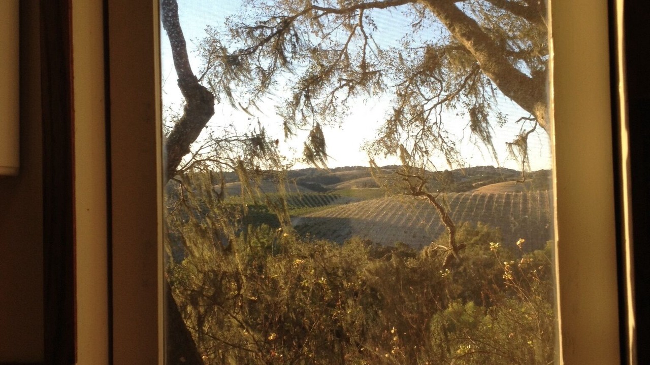Photo of Others in Paso Robles