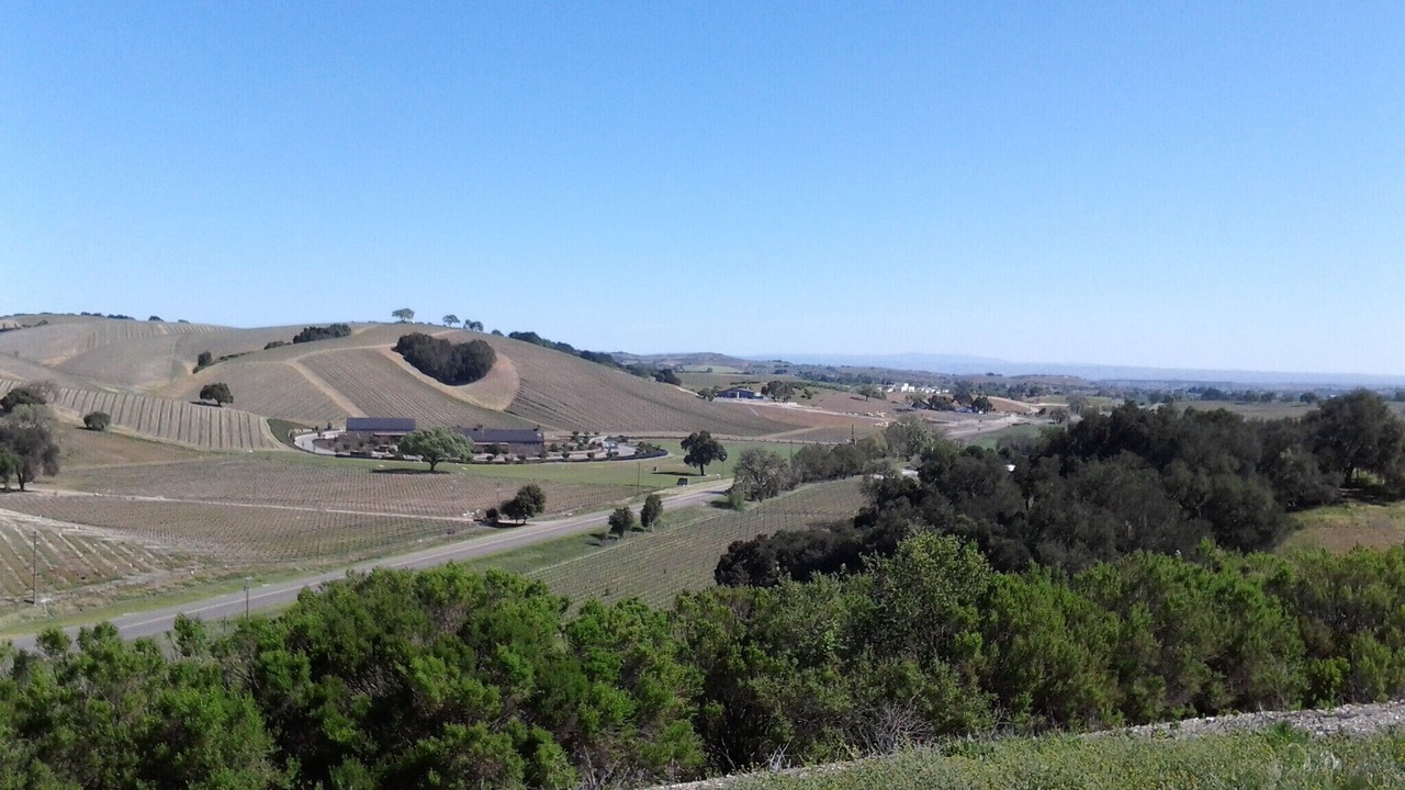 Photo of Others in Paso Robles