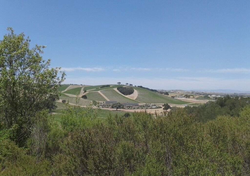 Photo of Others in Paso Robles