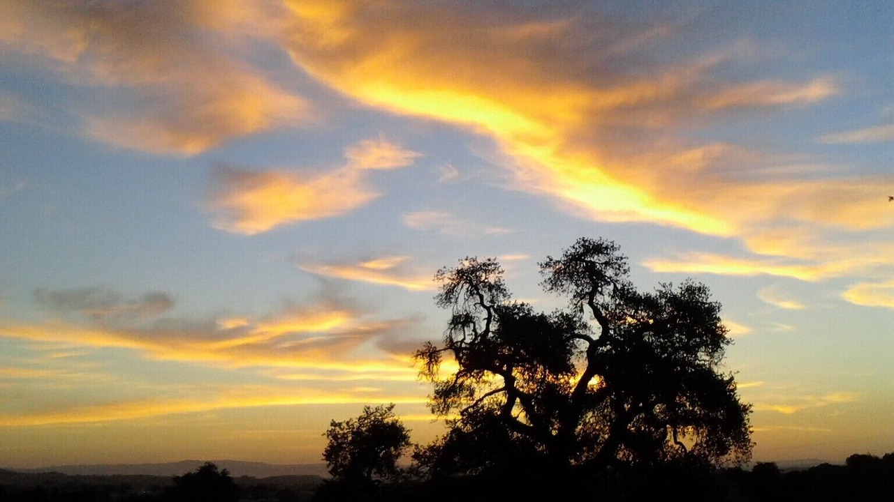 Photo of Others in Paso Robles
