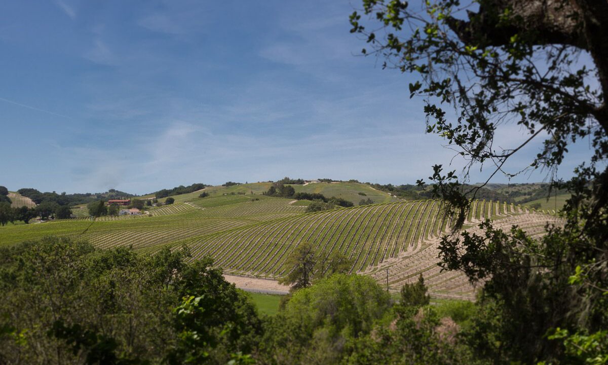 Photo of Others in Paso Robles