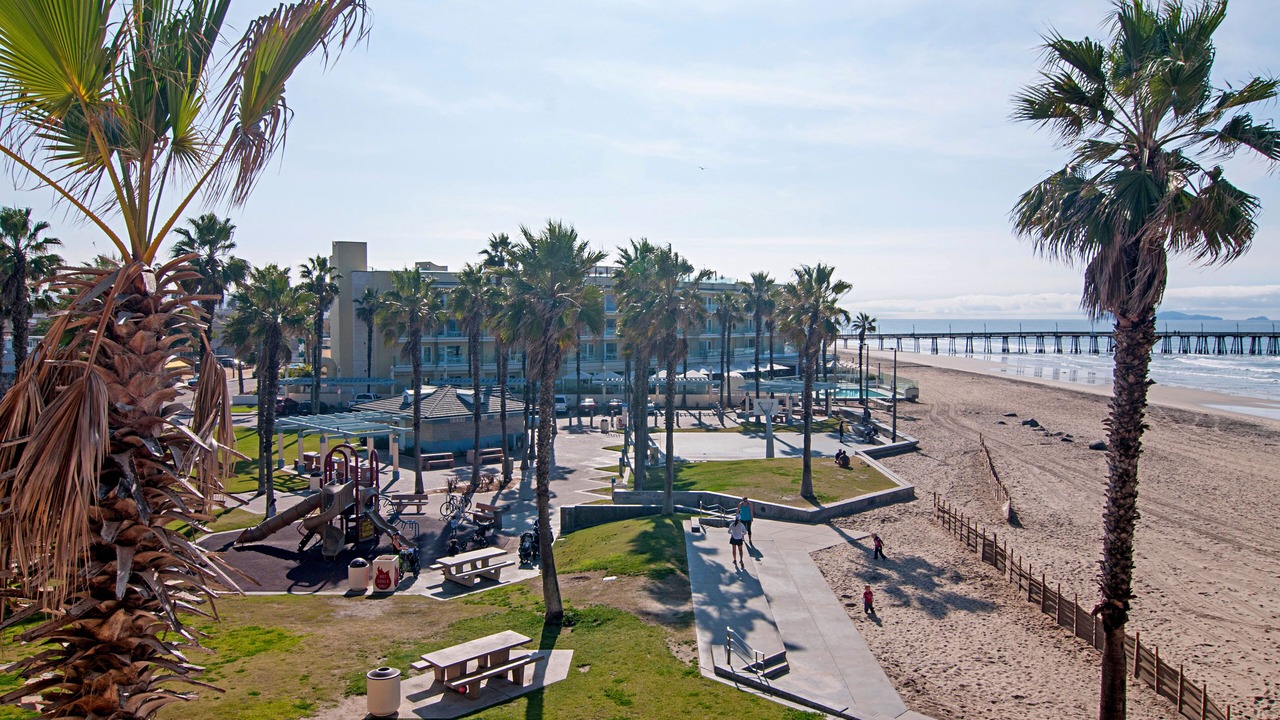 Photo of Others in Imperial Beach