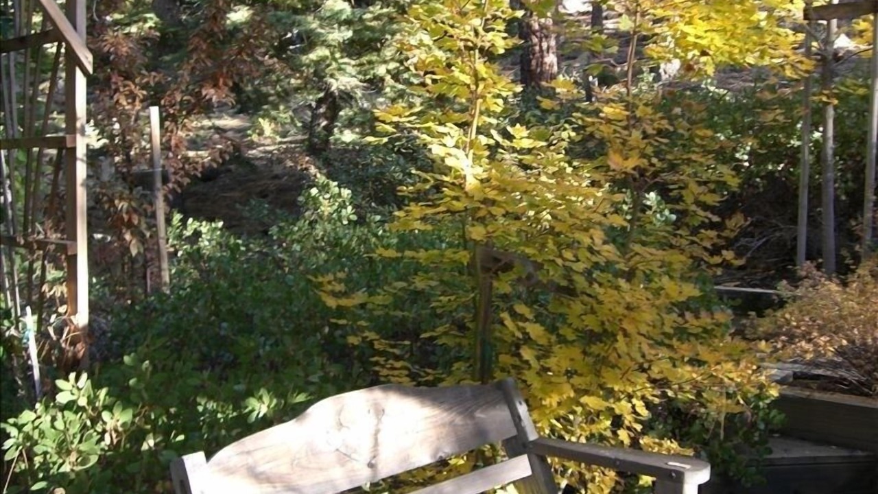 Photo of Others in Elk Point