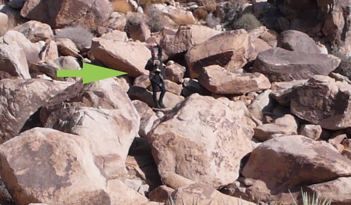 Photo of Others in Monument Manor