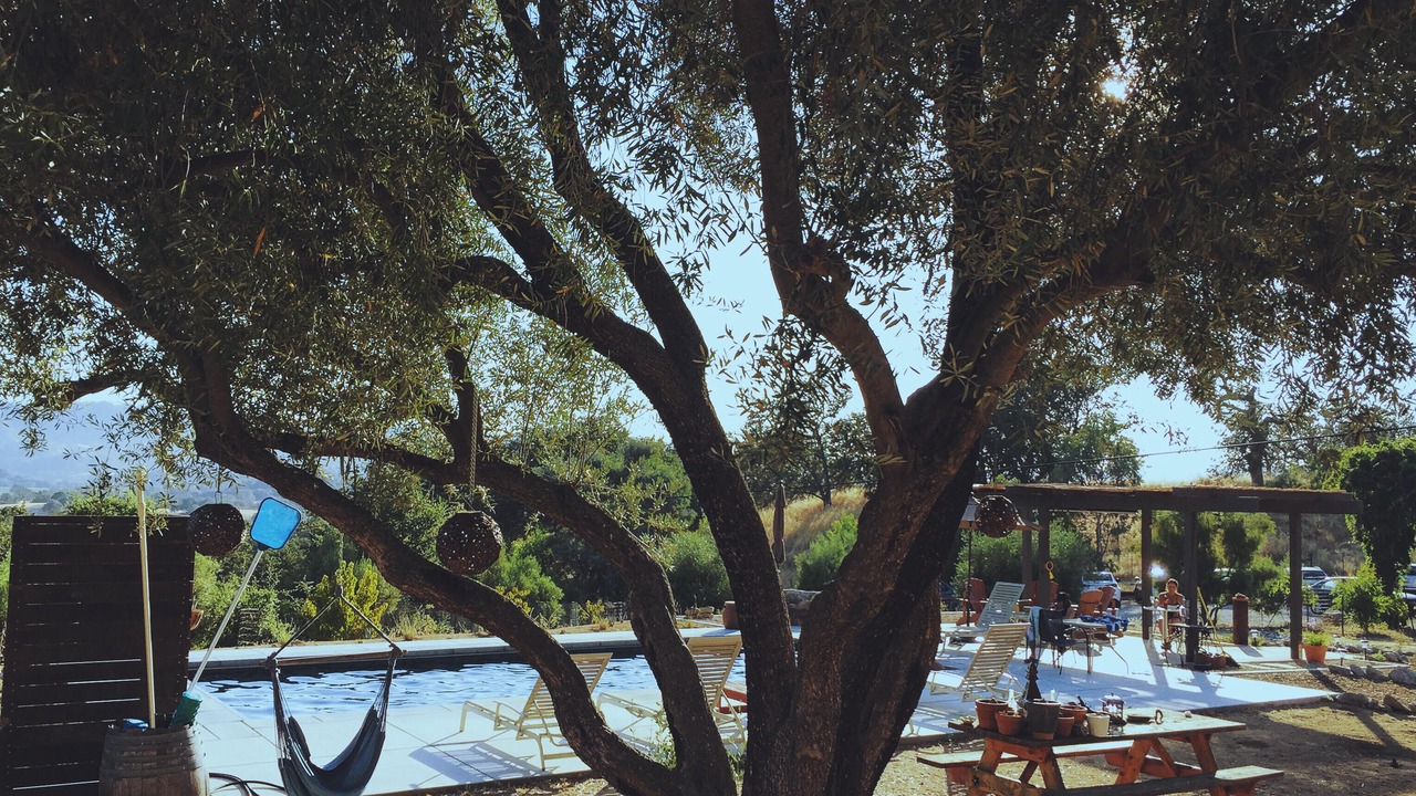 Photo of Outdoor in San Luis Obispo