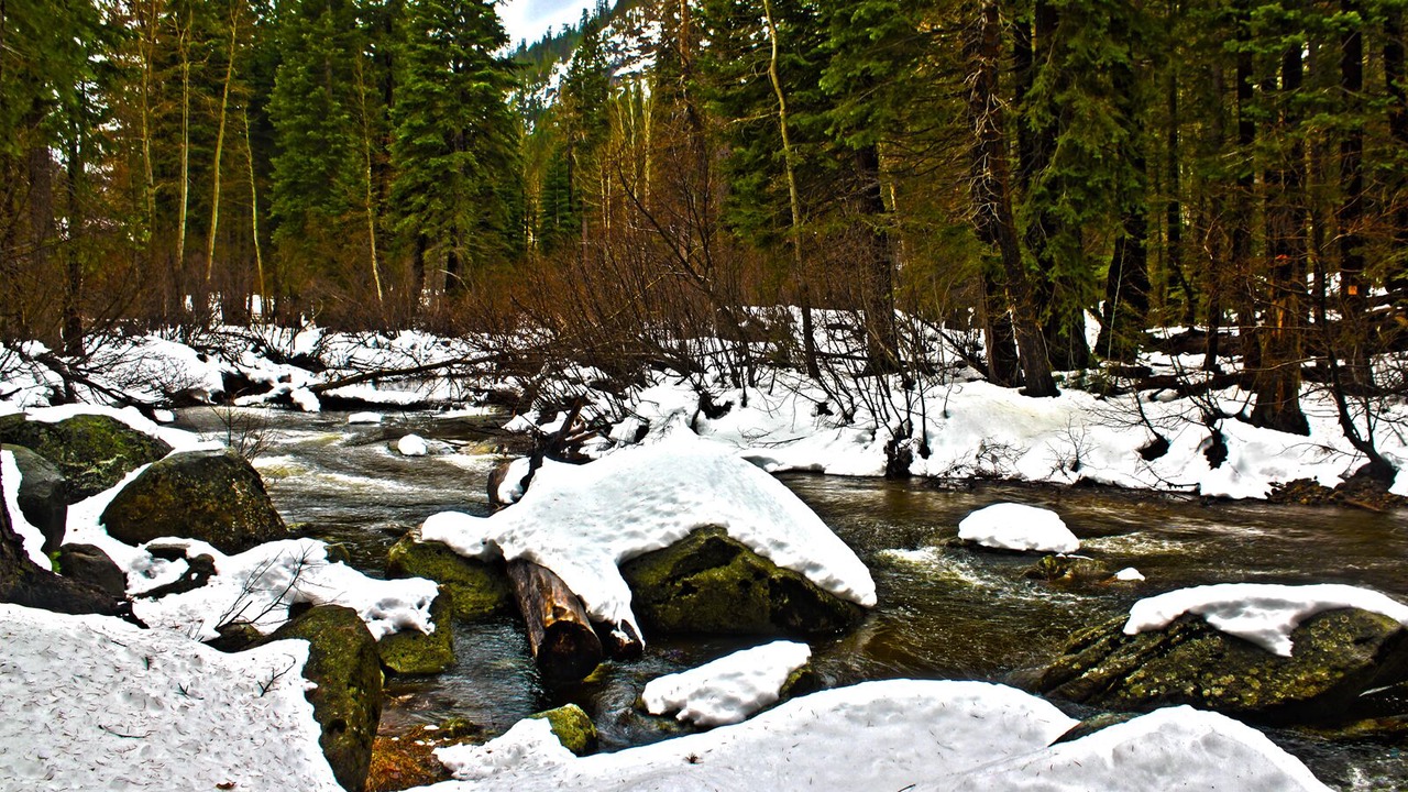 Photo of Others in Christmas Valley