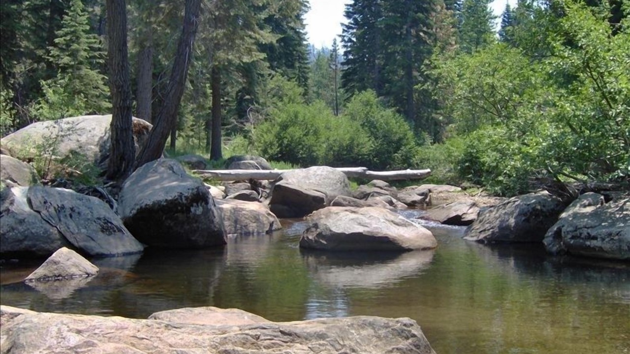 Photo of Others in Christmas Valley