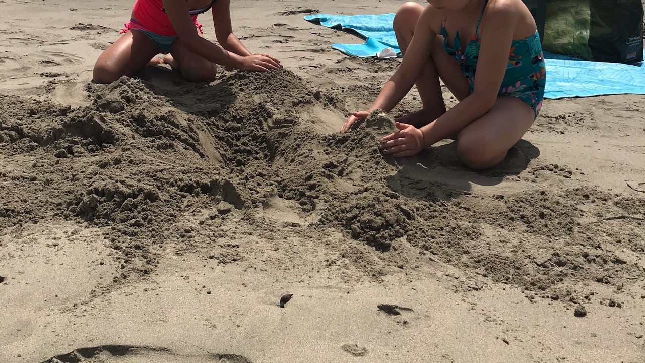 Photo of Others in Cayucos