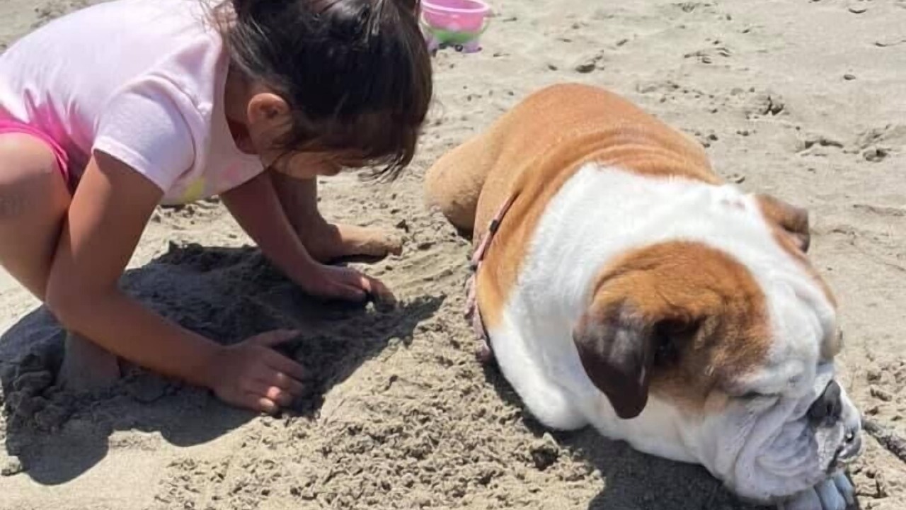 Photo of Others in Cayucos
