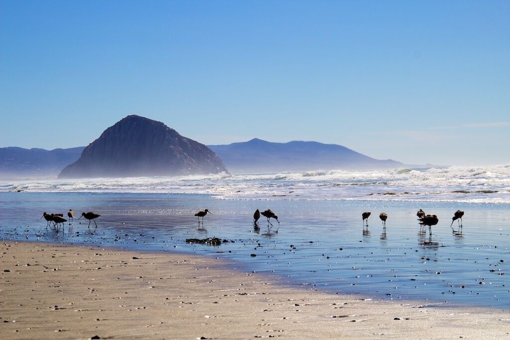 Photo of Others in Morro Bay