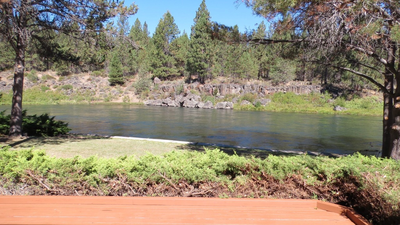 Photo of Others in Deschutes River Woods