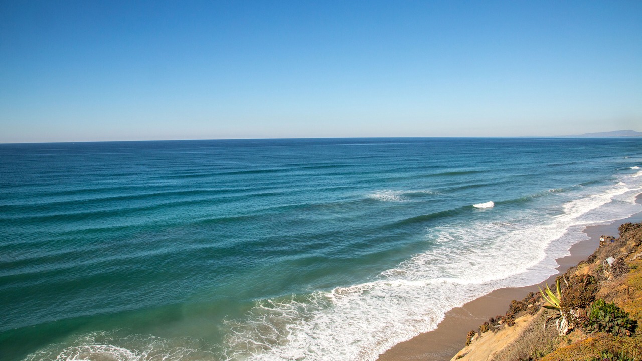 Photo of Others in Encinitas