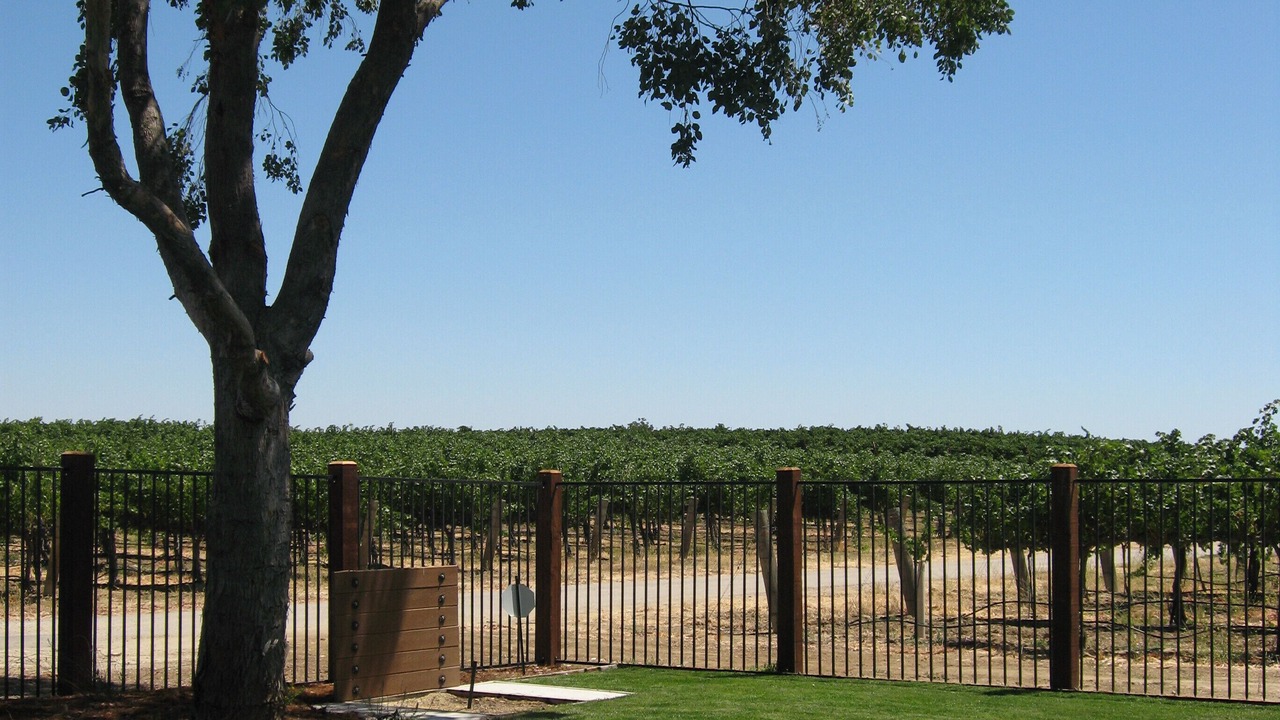 Photo of Others in Paso Robles