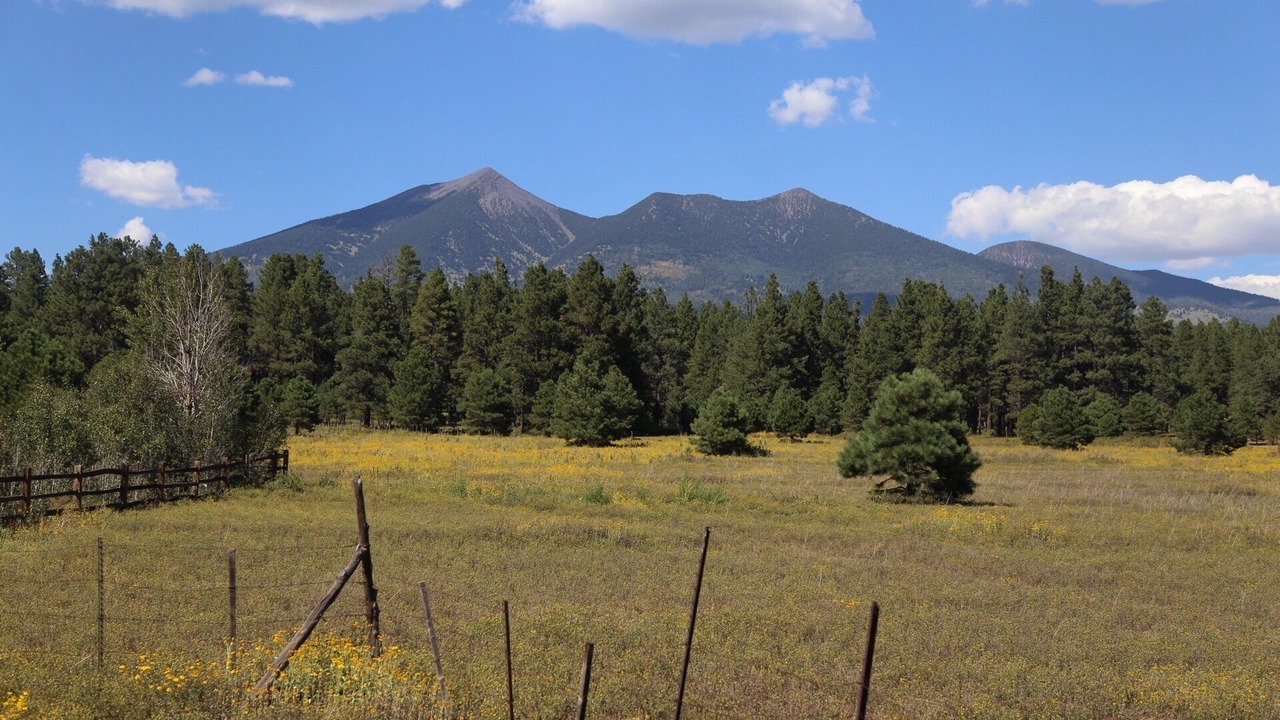 Photo of Outdoor in Fort Valley