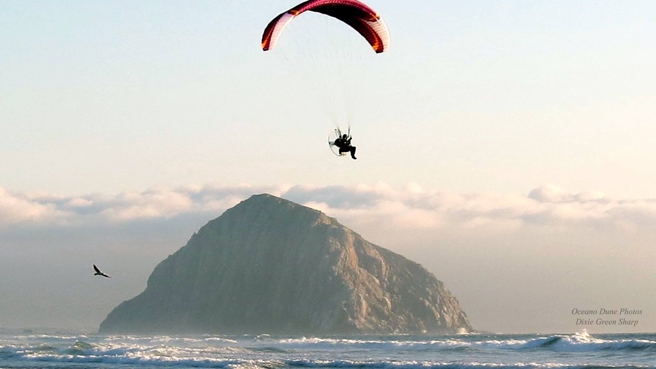 Photo of Others in Cayucos