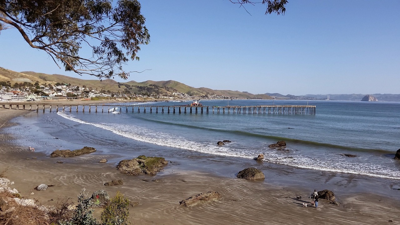 Photo of Others in Cayucos